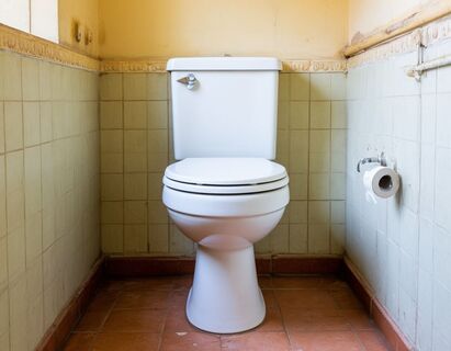 Перед приходом гостей сыплю 7 ст. ложек соли в унитаз: решаю насущную проблему – лайфхак продвинутых хозяек 