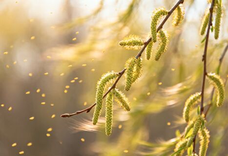 Народные приметы на 18 апреля - день Федула Ветреника: на дождливое и холодное лето укажут эти суеверия