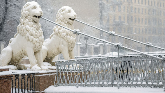 Львиный мост