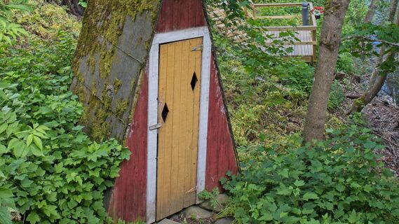 Не откачивал сливную яму 10 лет - просто посадил "бионасос" рядом: выпивает до 200 литров в сутки