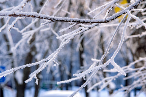 Циклон сыграет в прятки: солнце исчезнет из Петербурга на несколько дней