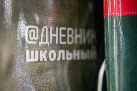 Электронный дневник