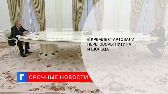 Встреча президента России Путина и канцлера ФРГ Шольца началась в Кремле
