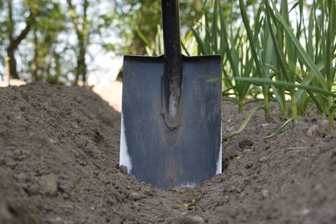 Вместо вонючего дорогого навоза: раскидал пачку крупы за 70 рублей — земля превратилась в чернозем