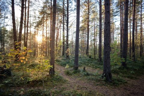 Старинный поселок 1670 года в Ульяновской области: действующий храм XIX века и роскошная набережная