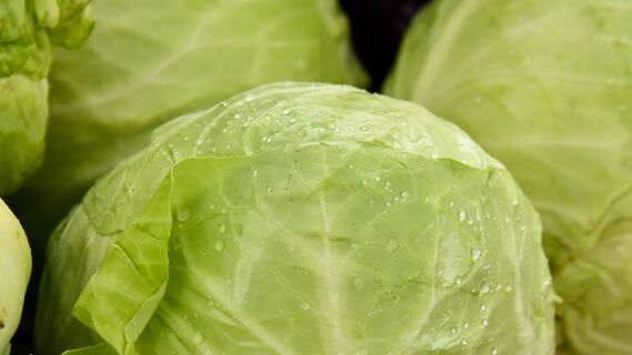 Капуста пролежит в холодильнике дольше: поможет неожиданный продукт
