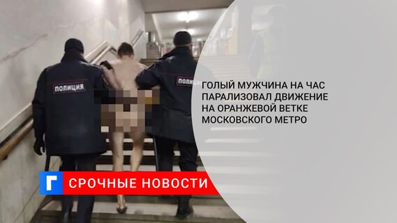 Голый мужчина на час парализовал движение на оранжевой ветке московского метро