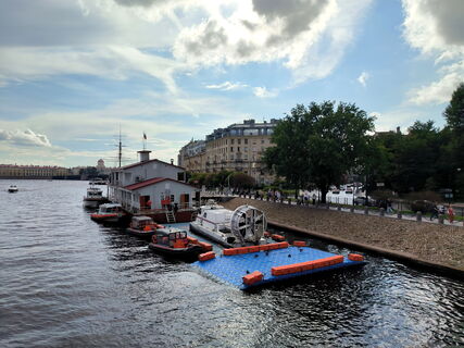 Рыбный аншлаг: за девять лет реки и каналы Петербурга приютили ещё 50 тысяч рыб