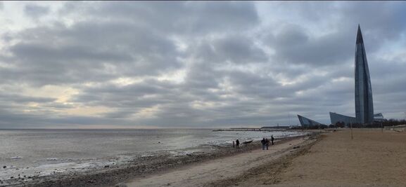 Между морем и рекой: соленая или пресная вода в Финском заливе, и кто в ней обитает