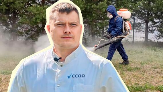 «Тараканов тяжелее всего вытравить»: дезинфектор Алексей Меньшиков — о химии, насекомых и народных способах борьбы с ними
