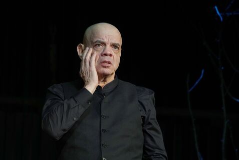 актер, райкин