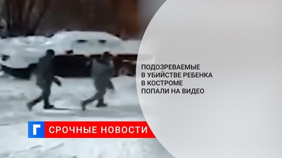 В Костроме двое мужчин признались в убийстве пятилетней девочки