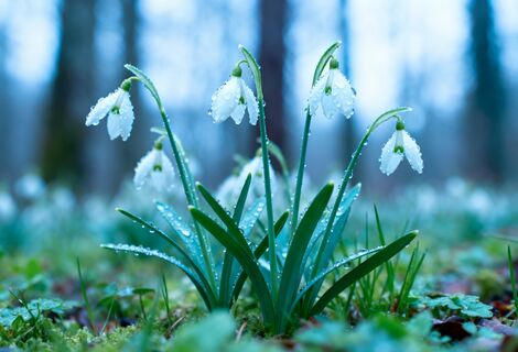 Какие народные приметы 3 апреля укажут на дождливое лето - день Кирилла Катаника: предсказываем погоду без синоптиков