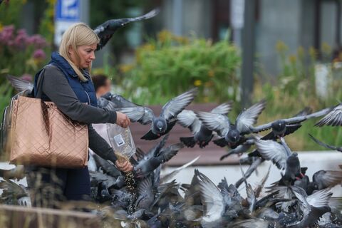 Городовой ру