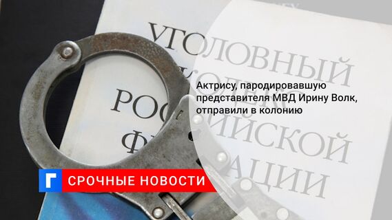 Актрису, пародировавшую представителя МВД Ирину Волк, отправили в колонию