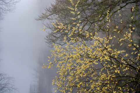 Народные приметы погоды на 26 марта: что укажет на дождливое лето  