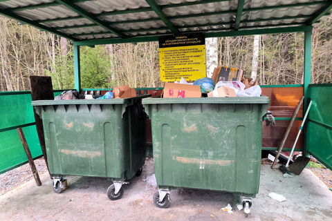 Не только строймусор: в Петербурге запретят бросать в контейнеры для ТКО ветки и опавшую листву