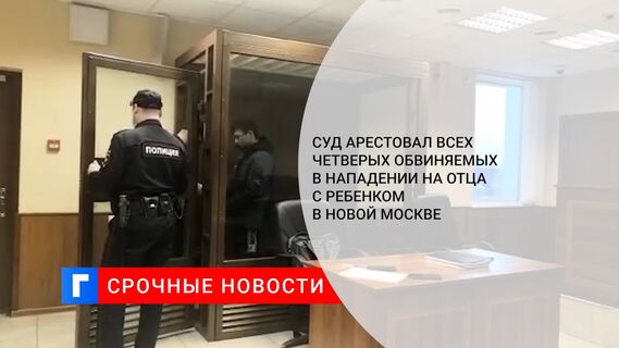 Суд арестовал всех четверых обвиняемых в нападении на отца с ребенком в Новой Москве