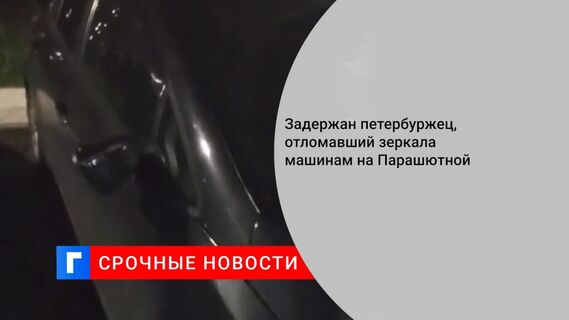 Задержан петербуржец, отломавший зеркала машинам на Парашютной