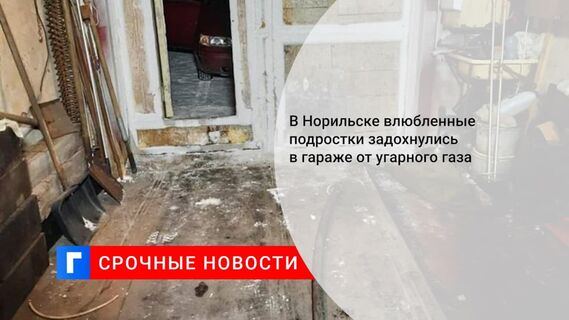 В Норильске в гараже нашли тела несовершеннолетних девушки и юноши