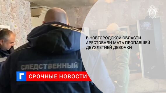 В Новгородской области арестовали мать двухлетней девочки, пропавшей несколько дней назад