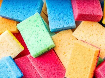 На ваших губках грибковые колонии: как часто их менять – микробиологи дали четкий ответ, в давнем споре поставлена точка