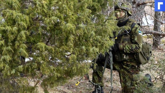 В Эстонии начались военные учения «Весенний шторм» с НАТО