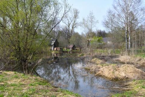 Эти 5 работ в саду принесут только вред: что по привычке делают миллионы дачников – и как они лишаются урожая
