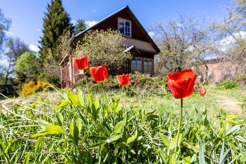 6 ошибок пенсионеров, которые живут в деревне: почему они стоят здоровья, денег и нервов