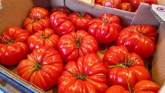 Из 1000 томатов сажаю только 3: Сладкие, как моя жизнь - урожай до 25 кг на квадрат