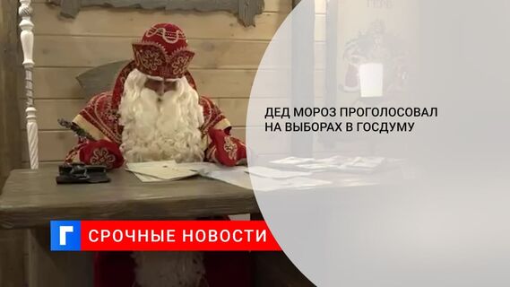 Дед Мороз проголосовал на выборах в Госдуму в резиденции в Великом Устюге