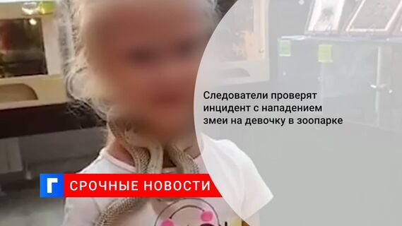 СК проверит сообщения об укушенной девочке в контактном зоопарке в Екатеринбурге