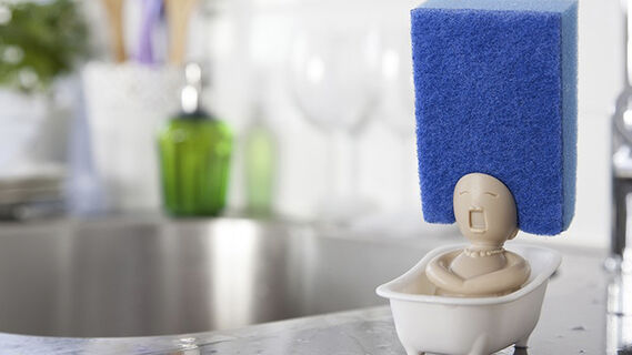 Кухонная губка