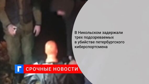 В Никольском задержали трех подозреваемых в убийстве петербургского киберспортсмена