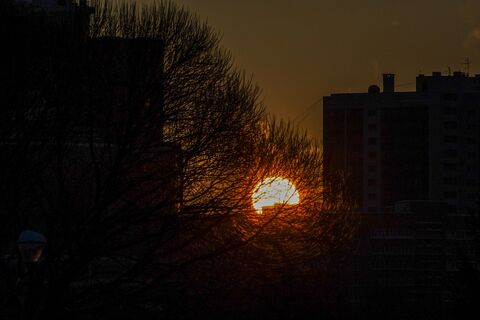 Вековой максимум: область 4366 на Солнце достигла 66 вспышек класса M