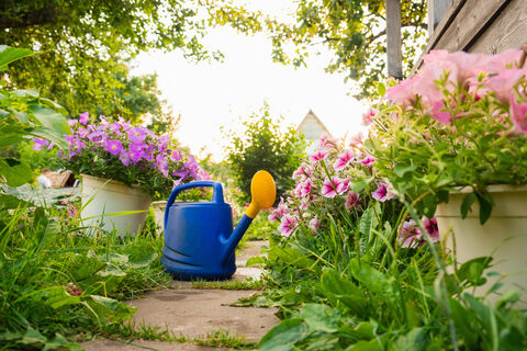 Вот как хранить садовые инструменты: все четко, по полочкам и под рукой – никакого хаоса и свалки