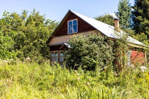 Это «маленькое солнышко» – большой помощник в огороде: 5 причин посадить гигантский цветок в 2026 году