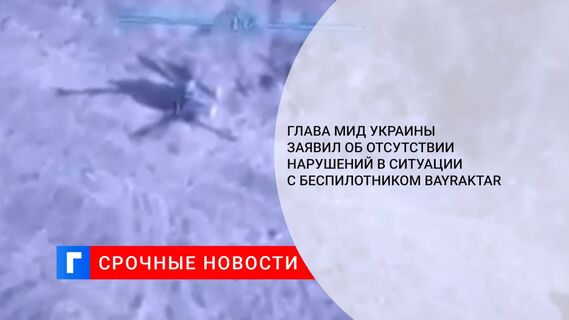 Глава МИД Украины заявил об отсутствии нарушений в ситуации с беспилотником Bayraktar