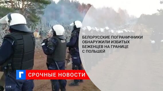 Белорусские пограничники обнаружили избитых беженцев на границе с Польшей