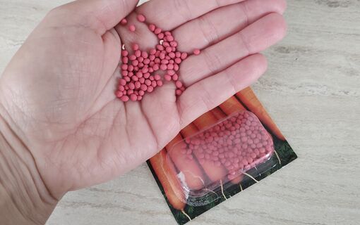 2 ложки в воду - и семена моркови готовы к посеву: взойдут густым ковром за 2 дня 