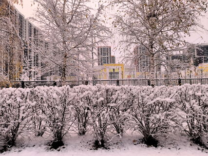 Световые столбы озарили небо над Петербургом: ледяная магия при -10°C