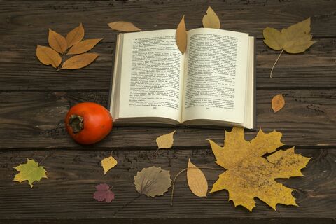Книга