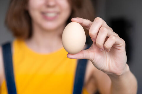 Вы всегда использовали скорлупу в огороде неправильно: И от подкормки не было толку