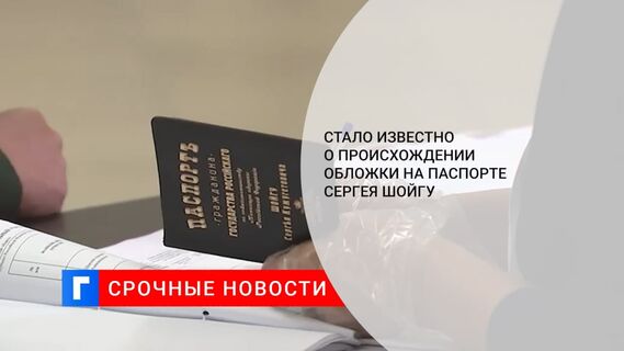 Шойгу на выборах показал паспорт с необычной обложкой