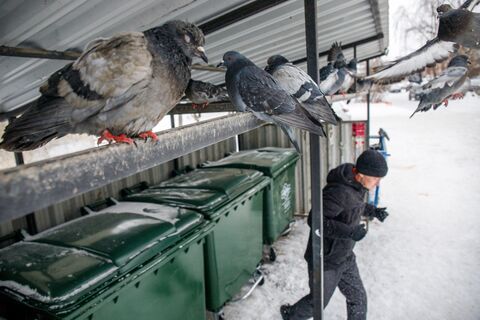 Экологический прорыв: Беглов анонсировал старт высокотехнологичного КПО «Островский»