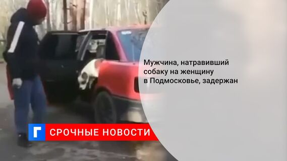 Мужчина, натравивший собаку на женщину в Подмосковье, задержан
