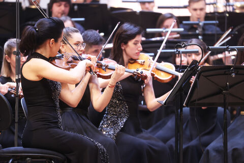 оркестр, скрипка