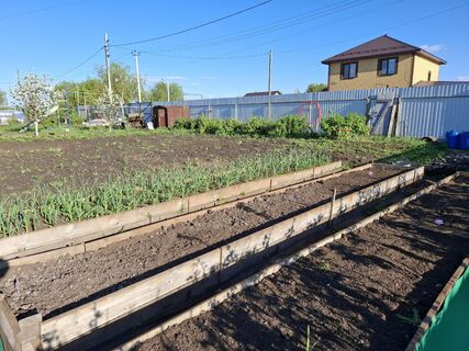 Только зря силы тратить: бесполезные весенние работы на даче - толку ноль, один вред