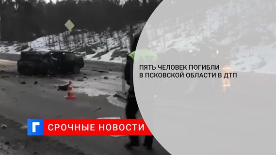 В Псковской области столкнулись два легковых автомобиля, погибли пять человек