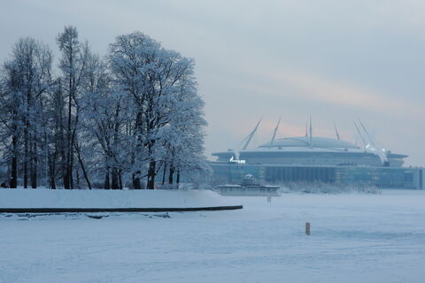 Зеленый щит Петербурга: лесной пояс шириной 172 тысячи га защитит город от экокризиса